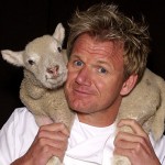 gordon-ramsay-lamb-chop-s-kids-fuck-foul-mouth-curse